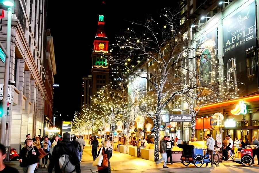 Denver: Holiday Lights & Sights Bus Tour - Guide style and group size: what you can expect from the experience team