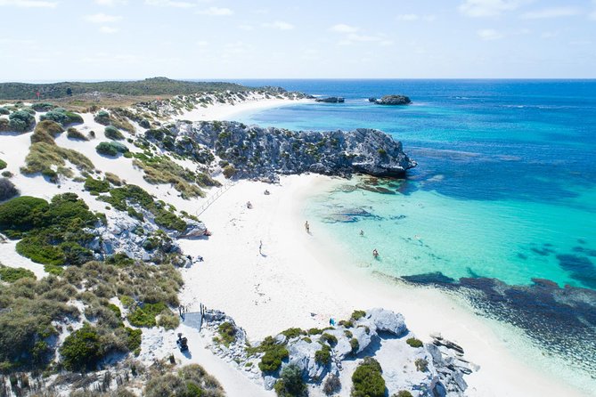 Discover Rottnest with Ferry & Bus Tour - Quick hits before you go