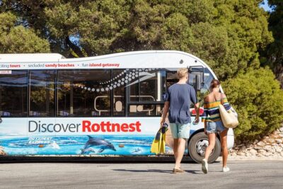 Discover Rottnest with Ferry & Bus Tour - Cathedral Rocks, seals, and humpback odds (what to look for)