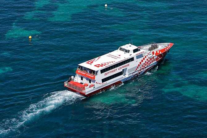 Discover Rottnest with Ferry & Bus Tour - Tips that make your day smoother (especially on windy days)