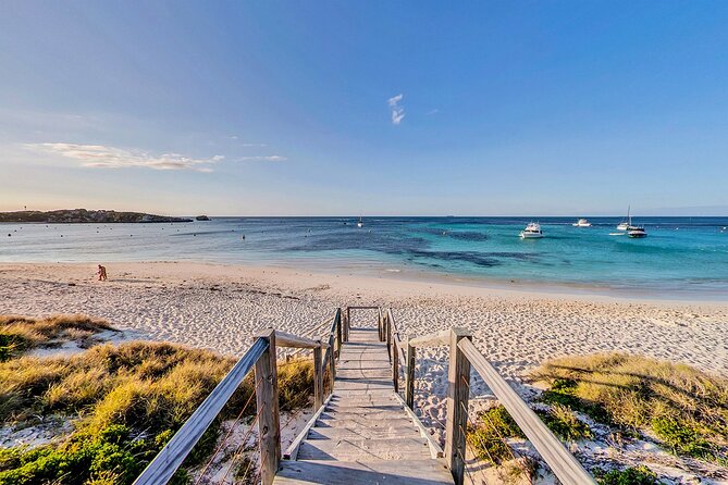 Discover Rottnest with Ferry & Bus Tour - Who this tour fits best
