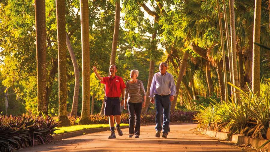Discover the City of Darwin: Half-Day City Coach Tour - Darwin Botanic Gardens: cyclones, WWII, and marine plants