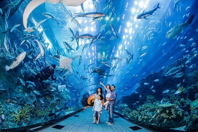 Dubai City Pass: all inclusive Pass with Hop On Hop Off & tours - Dubai Frame and The View Palm Jumeirah: skyline icons with short time commitments