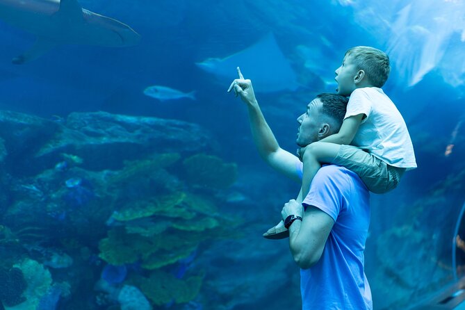 Dubai City Pass: all inclusive Pass with Hop On Hop Off & tours - Aquaventure’s Lost Chambers Aquarium: a themed maze you can take at your pace