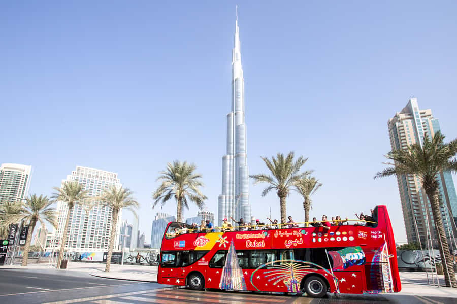 Dubai: City Sightseeing HOHO Bus Tour + Sunset & Night Tour - Your day plan: Red Route vs Blue Route (and when to use each)