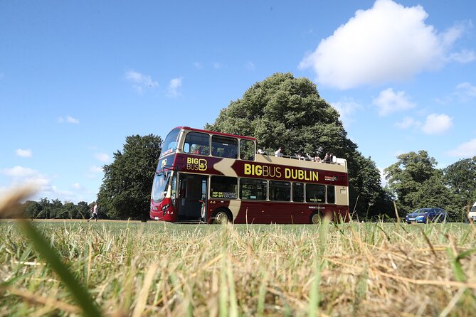 Dublin Shore Excursion, Live Guided Open-top, Hop-on Hop-off Sightseeing Tour - The bus frequency reality check: why waiting can affect your day