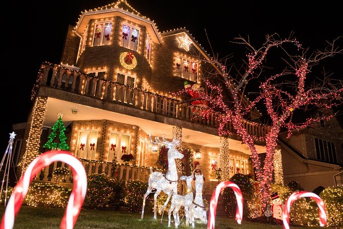 Dyker Heights Christmas Lights and NYC Skyline View Bus Tour - Photo Stops That Make Sense: Sunset-Style Views and a Real Skyline Moment