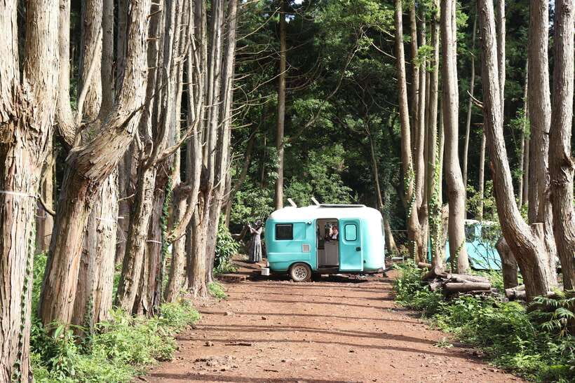 East of Jeju island Bus Tour from Seogwipo city, Jeju island - Who this East Jeju day trip is best for