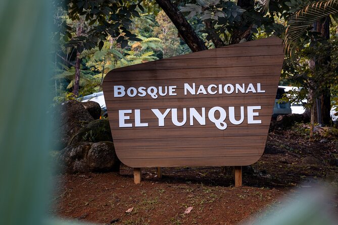 El Yunque Rainforest EZ-going Bus Tour (wheelchair accessible) - Key Highlights You’ll Actually Feel