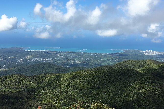 El Yunque Rainforest EZ-going Bus Tour (wheelchair accessible) - A 5-Hour El Yunque Rainforest Day From Isla Verde