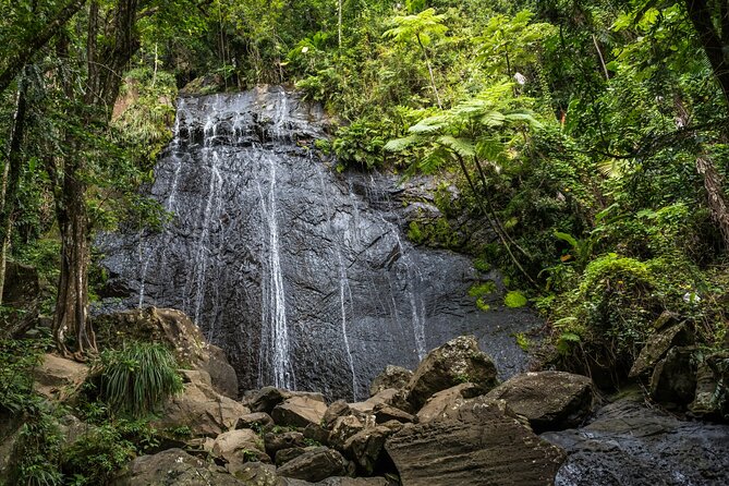 El Yunque Rainforest EZ-going Bus Tour (wheelchair accessible) - Catarata La Coca: A Waterfall Stop Built for Photos