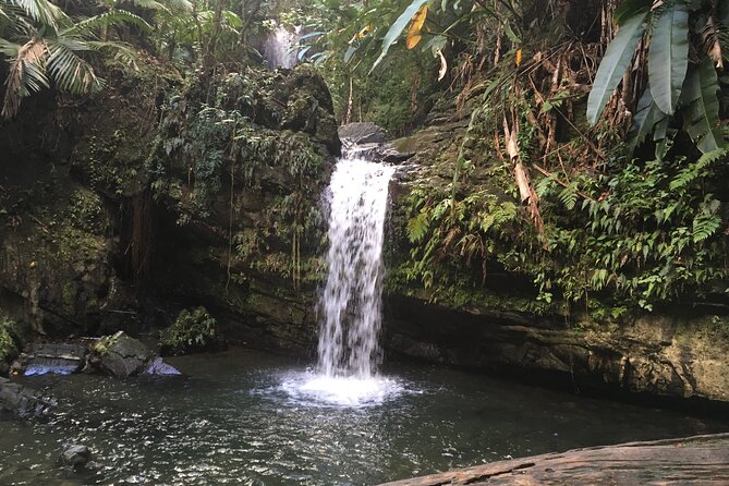 El Yunque Rainforest EZ-going Bus Tour (wheelchair accessible) - Luquillo Kioskos: Finish With Food and a Real Local Scene