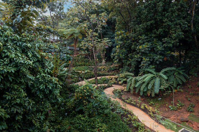 El Yunque Rainforest EZ-going Bus Tour (wheelchair accessible) - What Makes This Wheelchair-Accessible Bus Tour Work