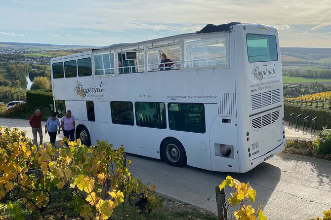 Épernay and Champagne Open-Top Bus Tour with 3 Tastings - Key points to know before you go