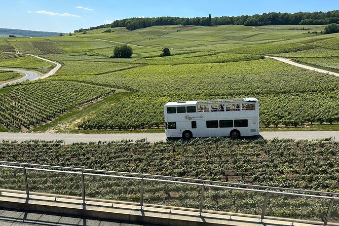 Épernay and Champagne Open-Top Bus Tour with 3 Tastings - Back in Épernay: using the final 15 minutes wisely