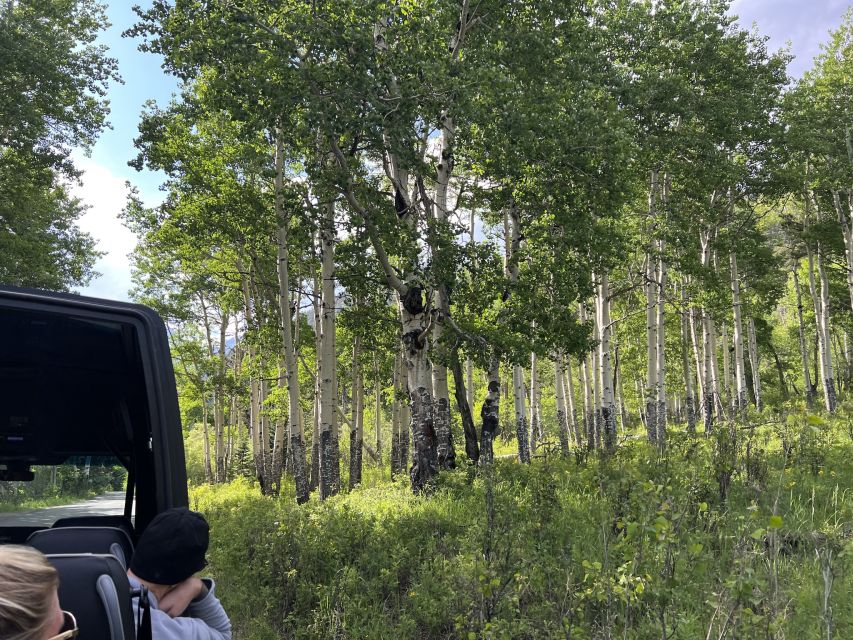Estes Park: Rocky Mountain National Park Glass-Top Bus Tour - How the guide makes the drive more than scenery