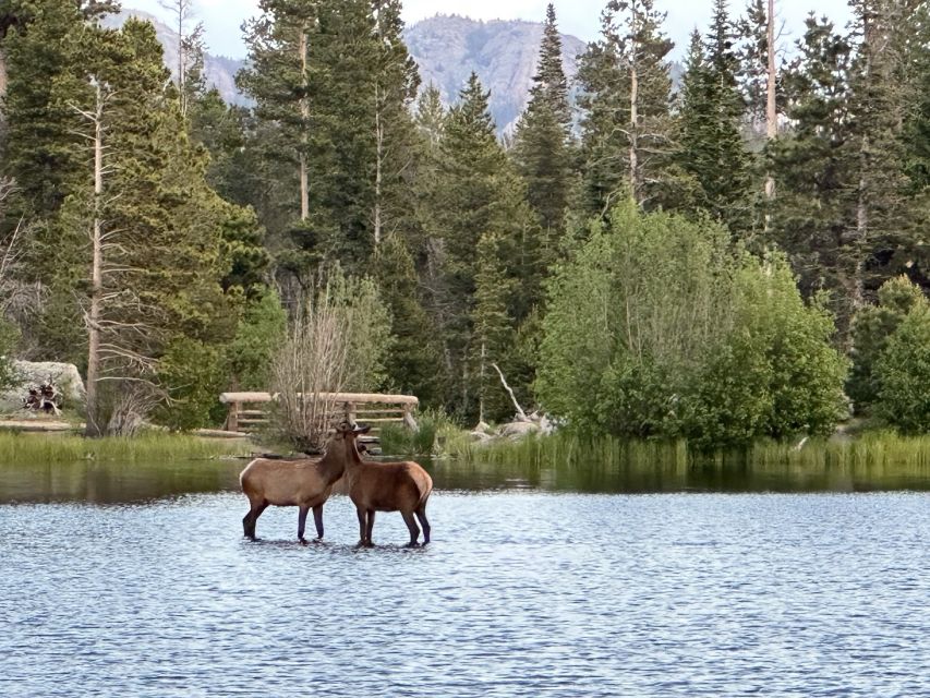 Estes Park: Rocky Mountain National Park Glass-Top Bus Tour - Sunset and stars timing: what changes on the later departure