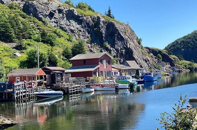 Explore St. John's Scenic Bus Tour to Cape Spear and Quidi Vidi - Stop 2: Petty Harbour for Outport Life Without the Detour