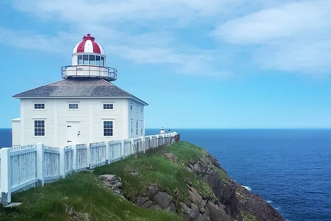 Explore St. John's Scenic Bus Tour to Cape Spear and Quidi Vidi - Stop 1: Cape Spear Lighthouse and the Edge-of-North-America Moment