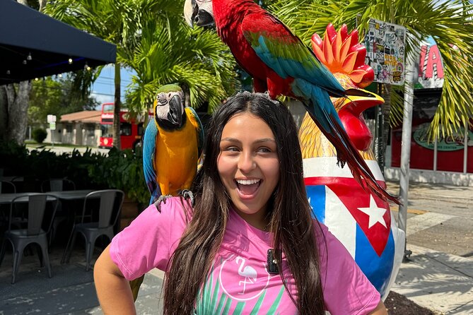 Flamingo Bus Miami Tours | Miami's Only Open-Air Trolley! - Miami’s Only Open-Air Trolley: What You’re Really Buying