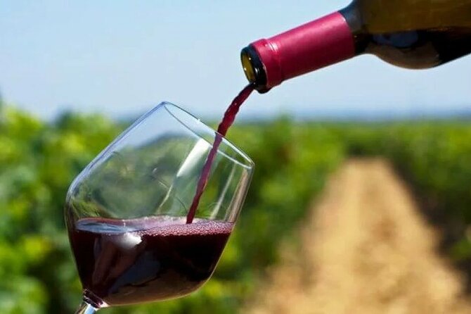 Franschhoek Wine Tram Hop On Hop Off Tour - Mr Paul’s role: practical help that saves your day