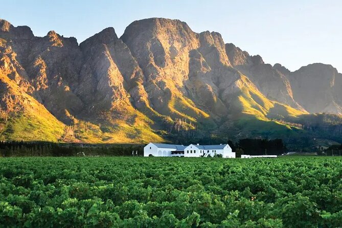 Franschhoek Wine Tram Hop-On Hop-Off Tour from Cape Town. - Why This Tram Beats a Rushed Wine Tour From Cape Town