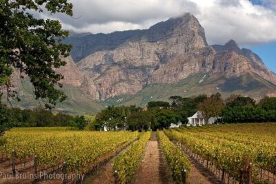 Franschhoek Wine Tram Hop-On Hop-Off Tour from Cape Town. - Inside the Franschhoek Wine Tram Experience