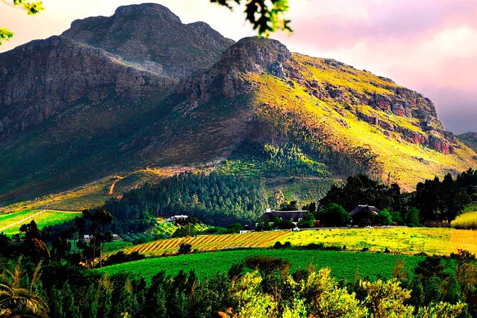 Franschhoek Wine Tram Hop-On Hop-Off Tour from Cape Town. - The One Included Tasting: Plan Around It