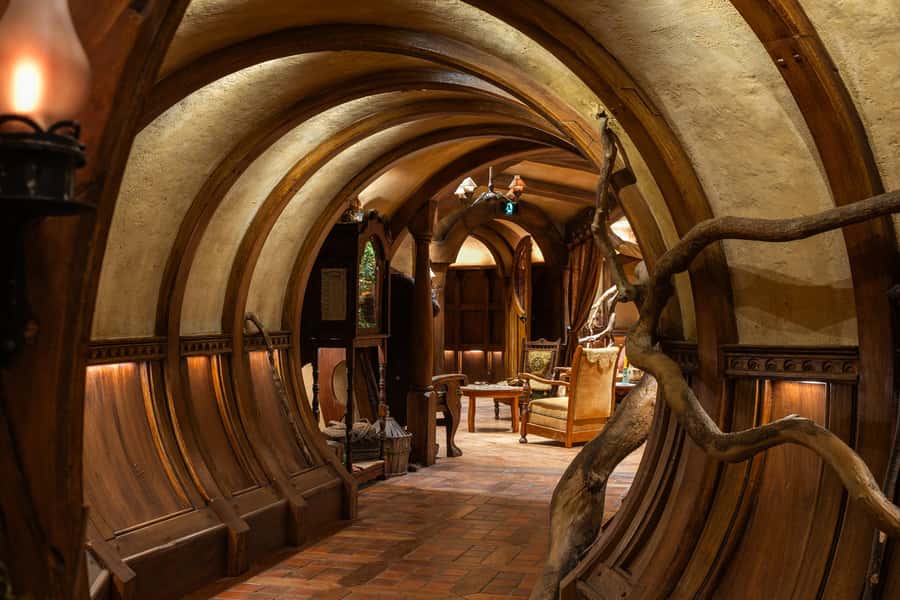 From Auckland: Waitomo & Hobbiton Bus Tour with Lunch - A Premium Coach Day Out From 100 Hobson Street