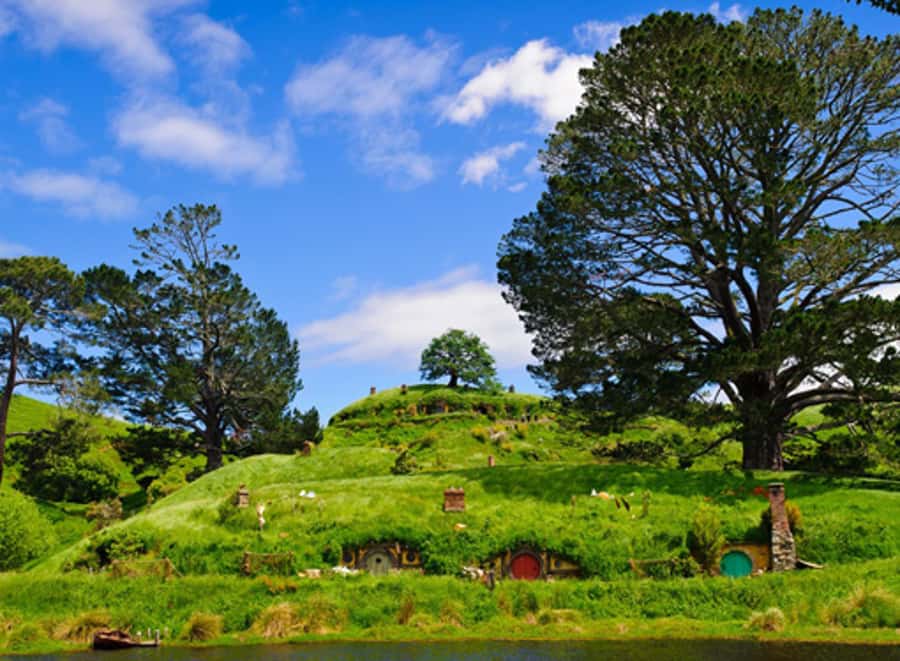 From Auckland: Waitomo & Hobbiton Bus Tour with Lunch - Hobbiton Movie Set: Hobbit Holes, Green Dragon Inn, and Party Tree