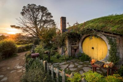 From Auckland: Waitomo & Hobbiton Bus Tour with Lunch - The Midday In-Between: How the Picnic Lunch Fits the Day