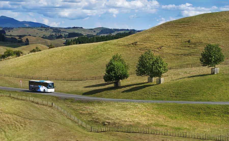 From Auckland: Waitomo & Hobbiton Bus Tour with Lunch - Value Check: Is $261 Worth It for Two Icons?