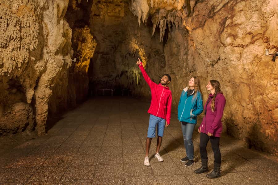 From Auckland: Waitomo & Hobbiton Bus Tour with Lunch - Should You Book This Tour?