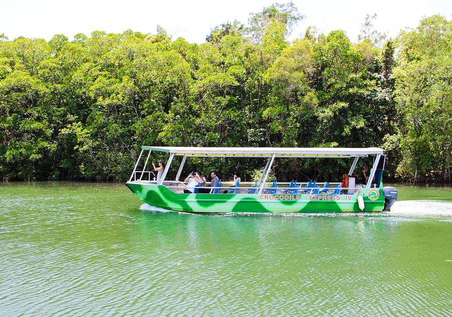 From Cairns: Daintree Wilderness & Cape Tribulation Bus Tour - Key things that make this tour worth your time