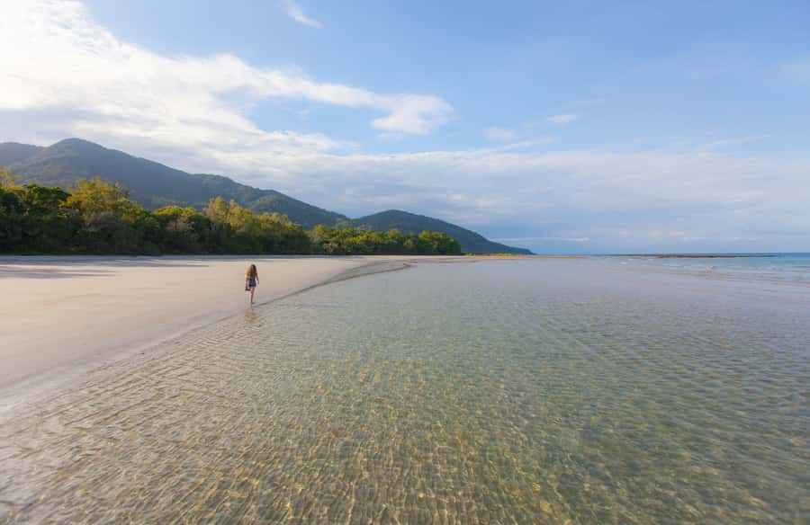From Cairns: Daintree Wilderness & Cape Tribulation Bus Tour - How the 13-hour day actually feels from Cairns