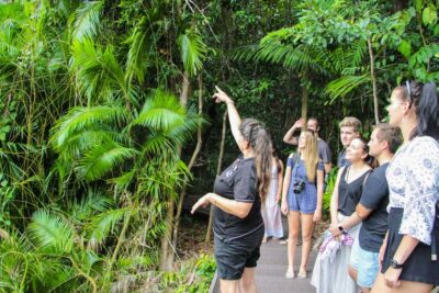 From Cairns: Daintree Wilderness & Cape Tribulation Bus Tour - Wildlife Habitat: five environments and a guide that keeps it moving