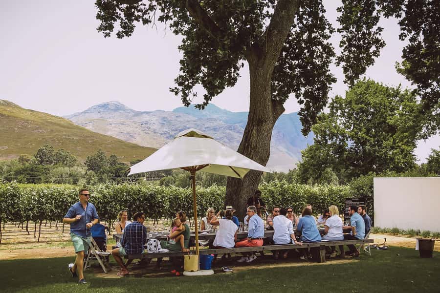 From Cape Town: Franschhoek Wine Tram Hop-on Hop-off - Who this tour suits best (and who should skip it)
