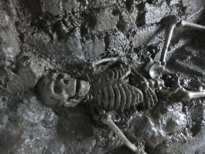 From Dublin: Gravedigger Ghost Bus Tour - Who should book this Dublin ghost bus tour