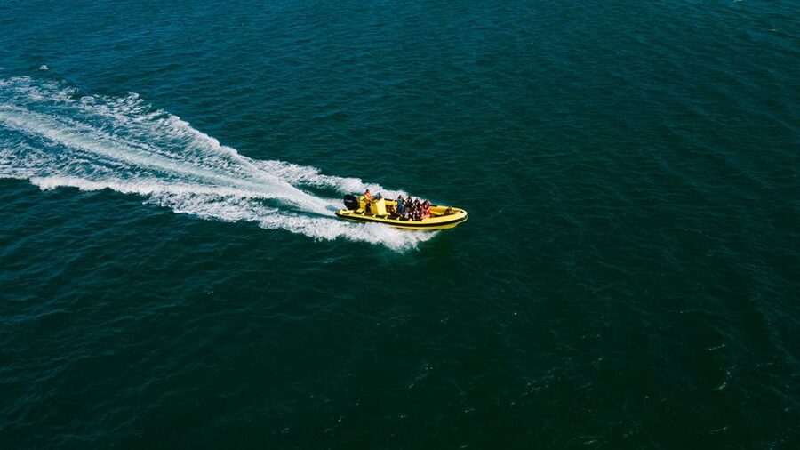 From Faro: Ria Formosa Hop-On Hop-Off 3 Islands Cruise - Key things to know before you go
