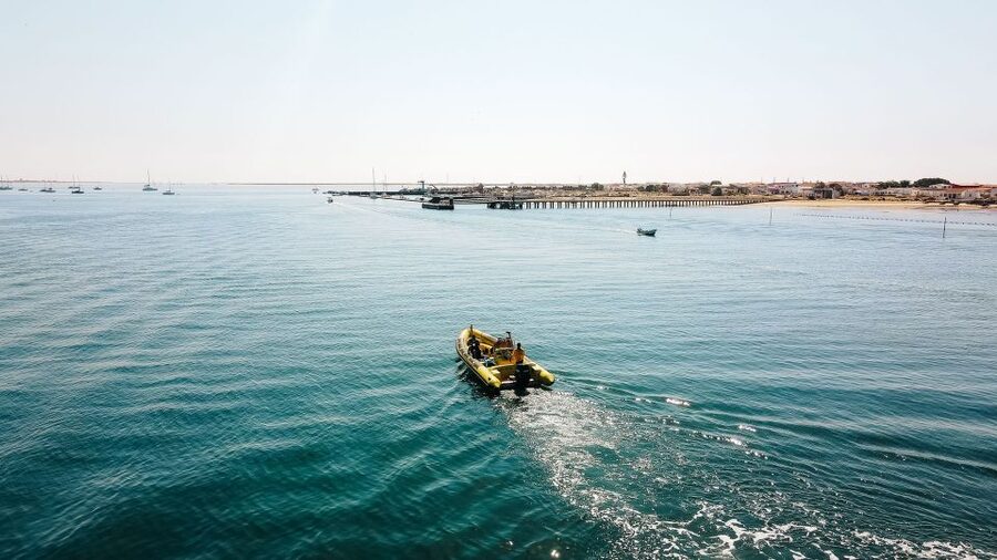 From Faro: Ria Formosa Hop-On Hop-Off 3 Islands Cruise - Stop 1: Desert Island (quiet nature, Cape Saint Mary, clear-water pauses)