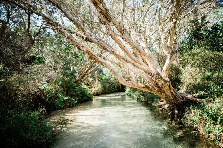 From Hervey Bay: K'gari, Fraser Island Full-Day Coach Tour - From Hervey Bay to Kgari: ferry timing and first impressions