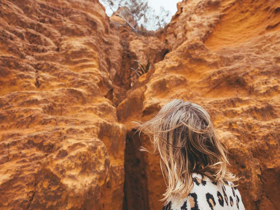 From Hervey Bay: K'gari, Fraser Island Full-Day Coach Tour - 75 Mile Beach and the Maheno Shipwreck: classic Kgari photo power