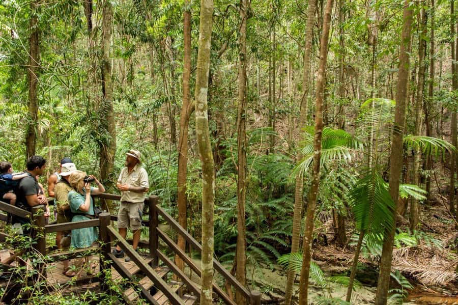 From Hervey Bay: K'gari, Fraser Island Full-Day Coach Tour - Sand-track driving: why the bus feels like the attraction