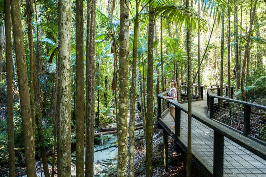 From Hervey Bay: K'gari, Fraser Island Two-Day Coach Tour - Why this K’gari tour feels like real access, not just a checklist