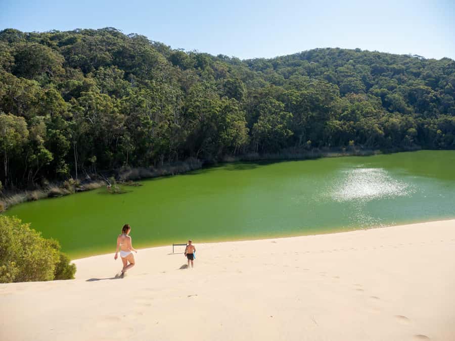 From Hervey Bay: K'gari, Fraser Island Two-Day Coach Tour - Day one on K’gari: timber giants, rainforest boardwalks, and Lake McKenzie