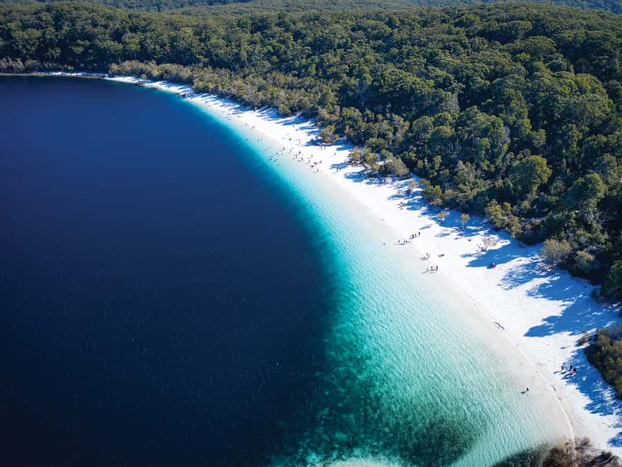 From Hervey Bay: K'gari, Fraser Island Two-Day Coach Tour - Starting at Hervey Bay: the cruise that sets the mood