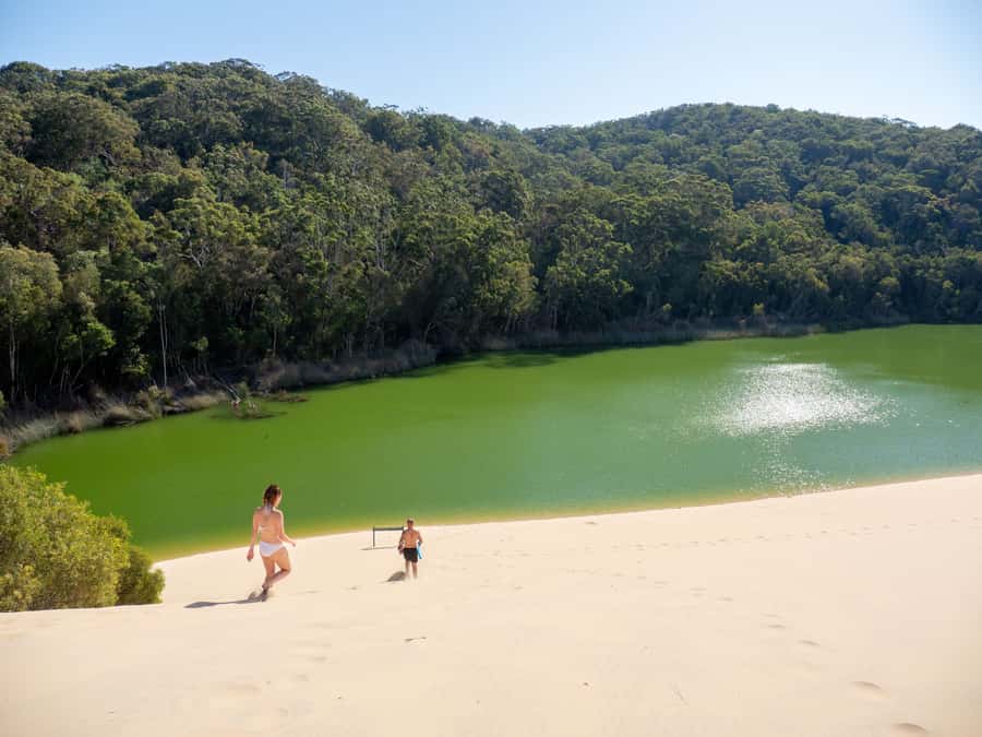 From Hervey Bay: K'gari Getaway Three-day 4WD Coach Tour - Lake McKenzie and Pile Valley: the two stops you’ll talk about later