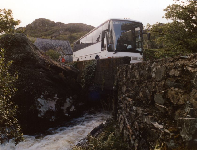 From Killarney: 'Ring of Kerry' Mountain Road 1-Day Bus Tour - Is the Ring of Kerry 1-day bus tour worth $45?
