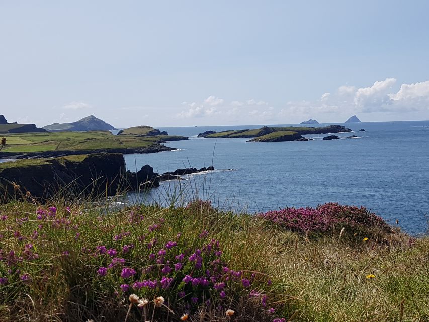 From Killarney: 'Ring of Kerry' Mountain Road 1-Day Bus Tour - Who should book this tour, and who might want a different plan