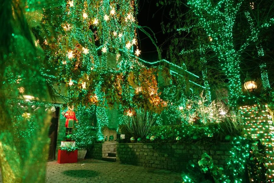 From Manhattan: 4-Hour Christmas Lights Luxury Bus Tour - Price and value: is $95 fair for a 4-hour lights tour?